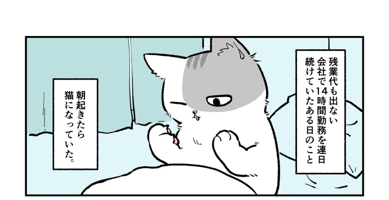 猫が同僚になったら……!? 清水めりぃさんの猫マンガでモフモフする