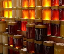 ダイエット効果・美肌効果あり！オリゴ糖の魅力や選び方とは？