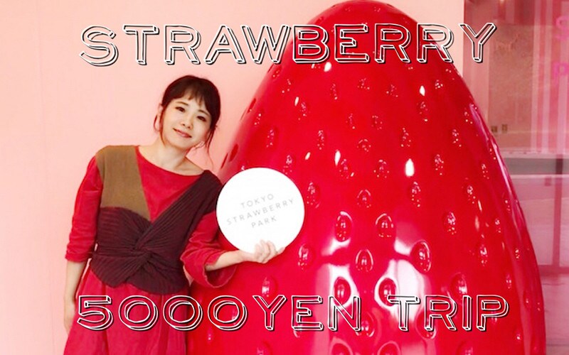 一年中楽しめる! 5,000円片手に東京ストロベリーパークいちご狩り旅