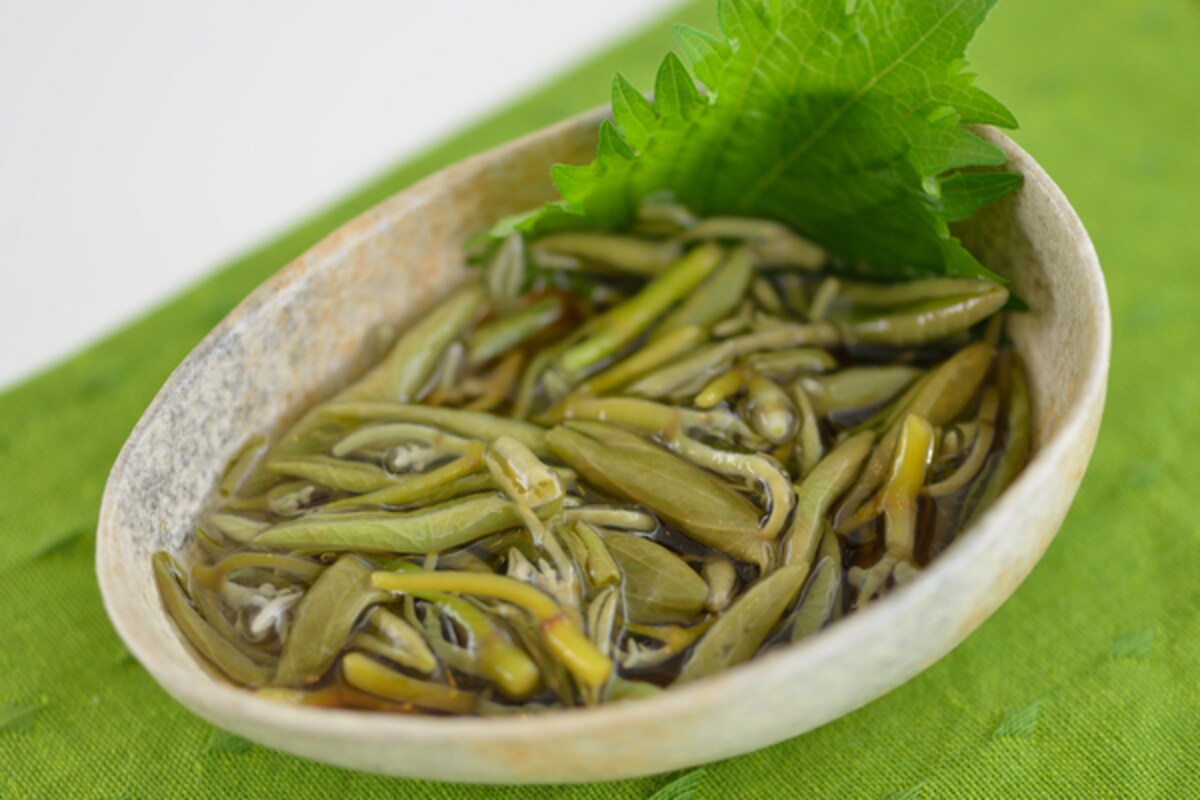 食べるエメラルド「じゅんさい」に含まれる驚きの栄養素とは!?