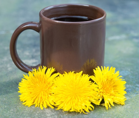 たんぽぽコーヒーって何?期待できる美容効果・副作用について