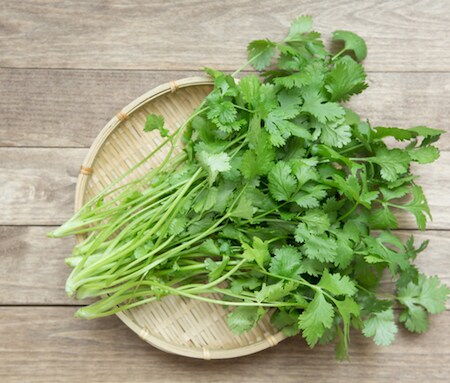 デトックス効果がスゴすぎる！パクチーが美人を作る理由とは？