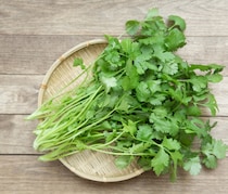 デトックス効果がスゴすぎる！パクチーが美人を作る理由とは？