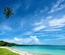 太平洋諸島で生まれた奇跡のオーガニックコスメ「タマヌオイル」とは