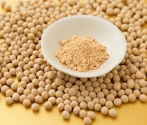 女性の救世主！きな粉に隠された驚くべきダイエット効果とは？