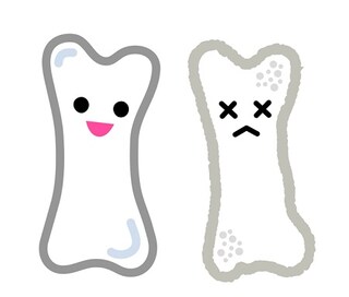 骨のトレーニングで若返る?! アンチエイジング＆記憶力アップも期待