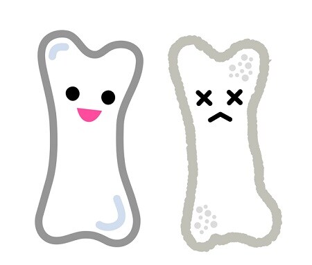 骨のトレーニングで若返る?! アンチエイジング&記憶力アップも期待