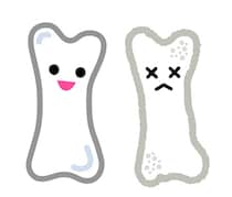 骨のトレーニングで若返る?! アンチエイジング＆記憶力アップも期待