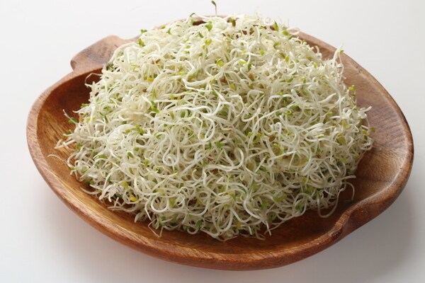 野菜の王様「アルファルファ」は××に良い!おすすめレシピあり