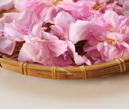 1年半継続した筆者が語る!「飲むフレグランス」の効果について