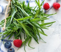 ハーブの一種「タラゴン」に期待できる美容・健康効果について