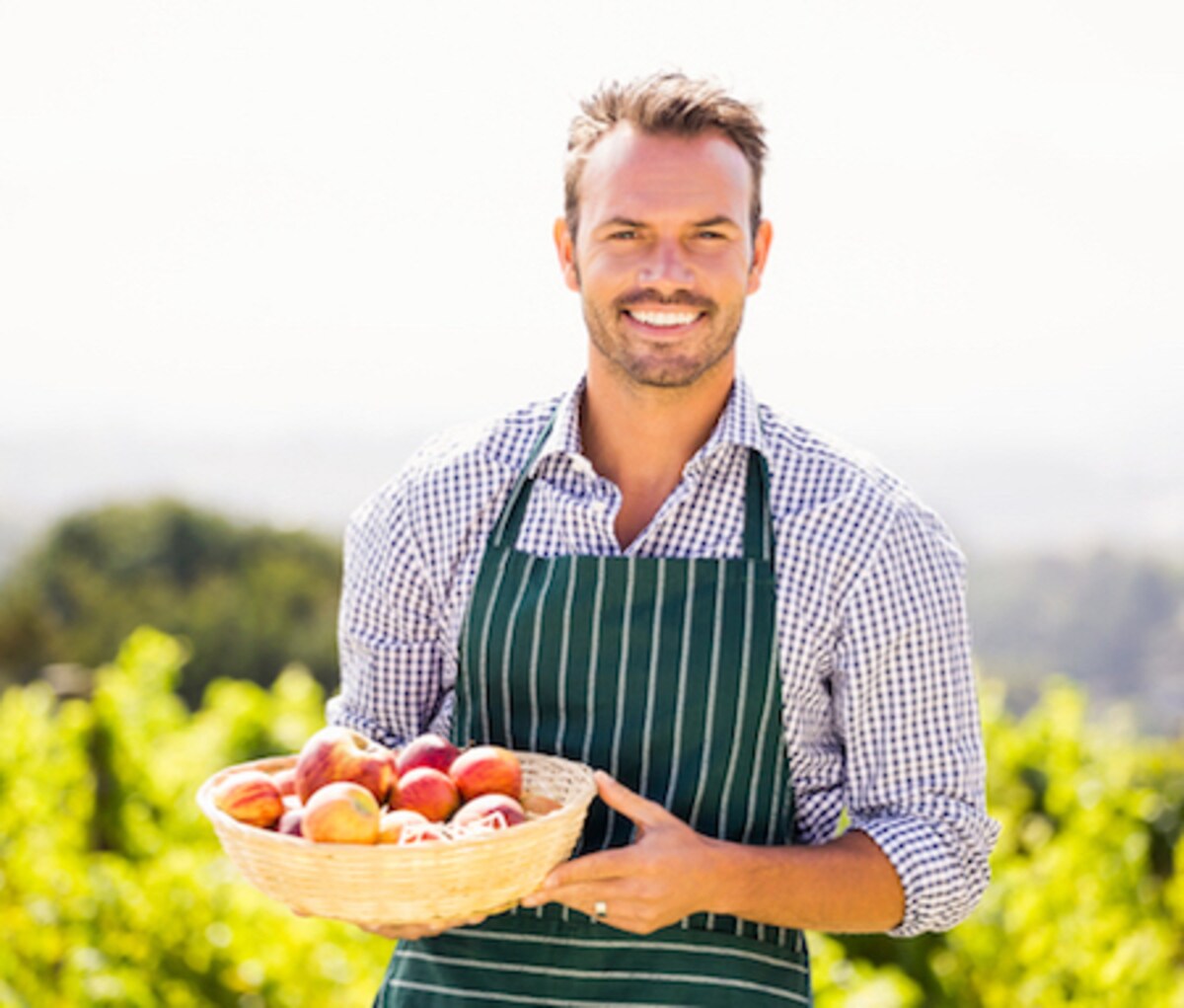 美肌の秘密はリンゴだった？たった1個のリンゴの素晴らしき美容効果