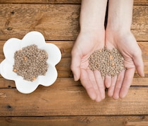 世界が認める!? 健康食材「レンズ豆」に期待できる効果とレシピ