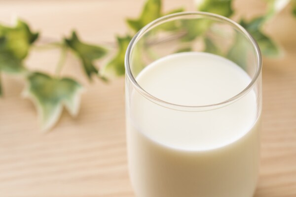 次世代ミルク・別名「奇跡の飲み物・ヘンプミルク」で美しく！