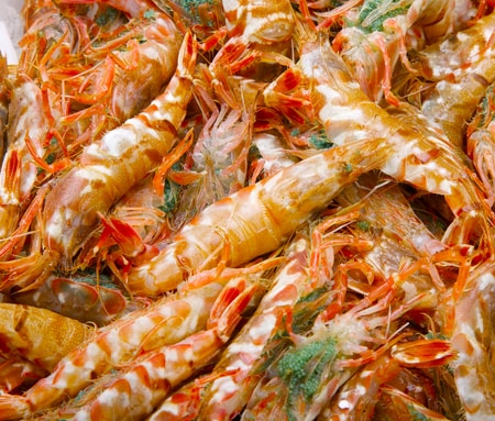 エビの尻尾に含まれる栄養素・期待できる美容効果についてご紹介!