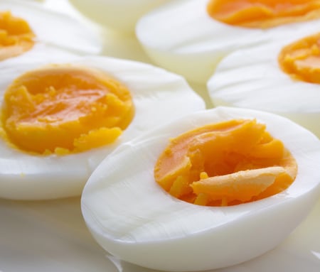 話題の「ゆで卵ダイエット」！卵こそ、減量に適した食材