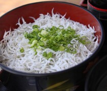 しらすのダイエット効果がスゴい！コレステロールを下げて美肌効果も