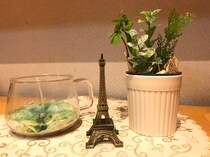 味気ない部屋を大変身！　100均アイテムで作る簡単インテリア