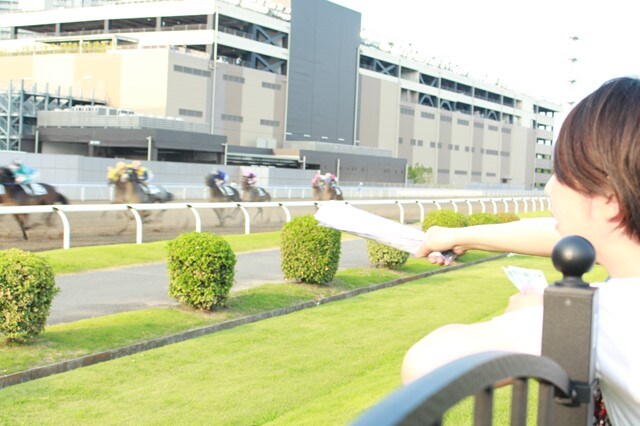 怖くない、汚くない! 実は女子も楽しい競馬を全力で遊んできた