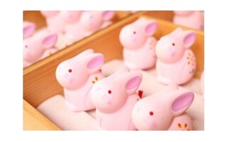 絶対ほしい！　物欲が刺激される全国のかわいいおみくじ