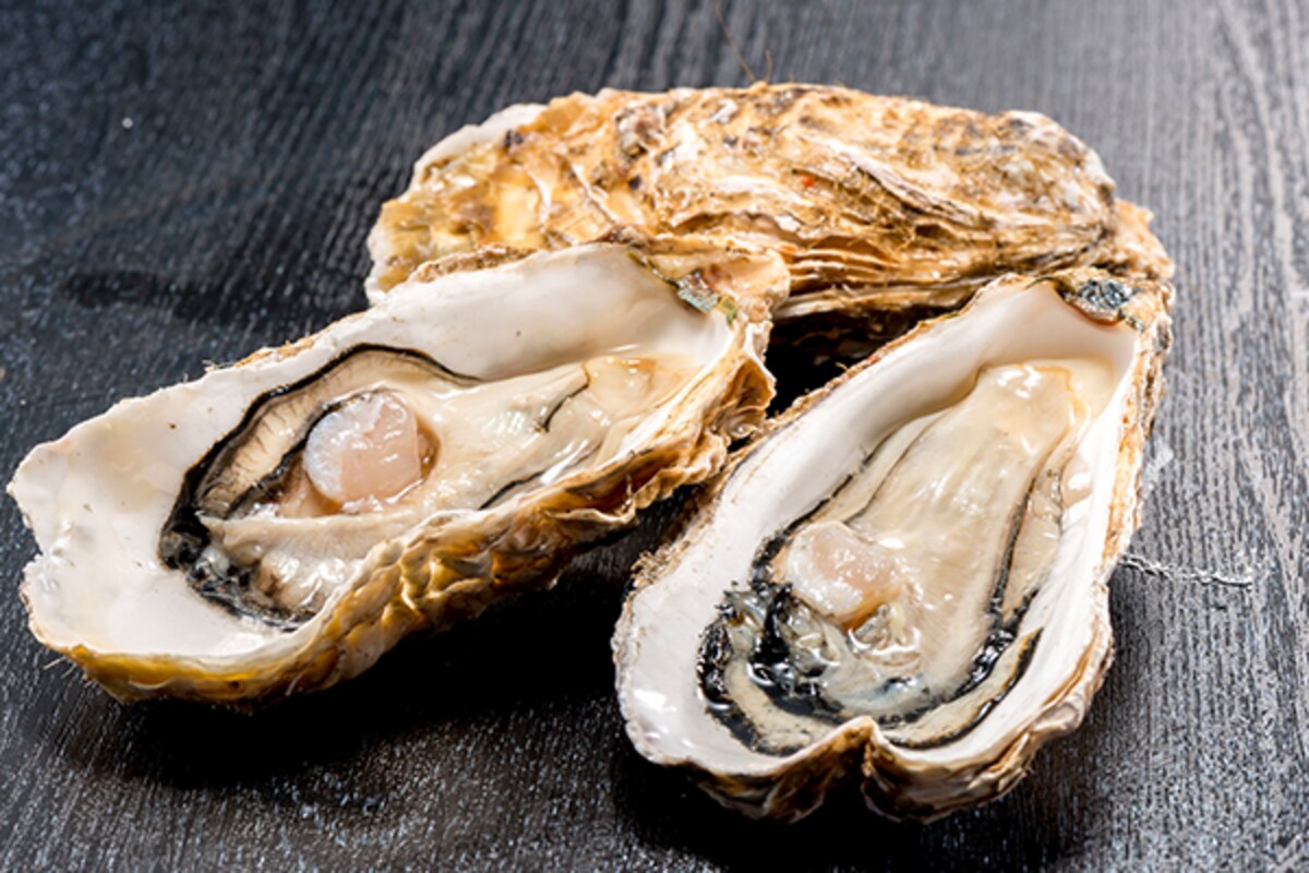 栄養満点の牡蠣を美味しく食べよう！