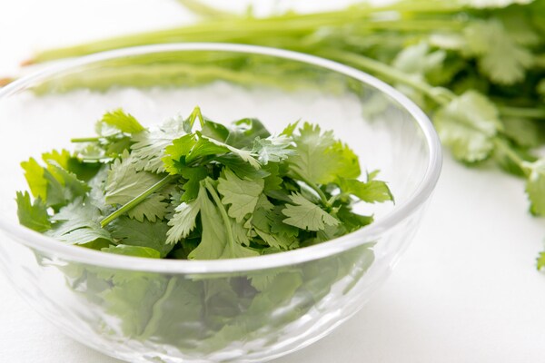 香味野菜「パクチー」は和食にも合う?おすすめのレシピ2選