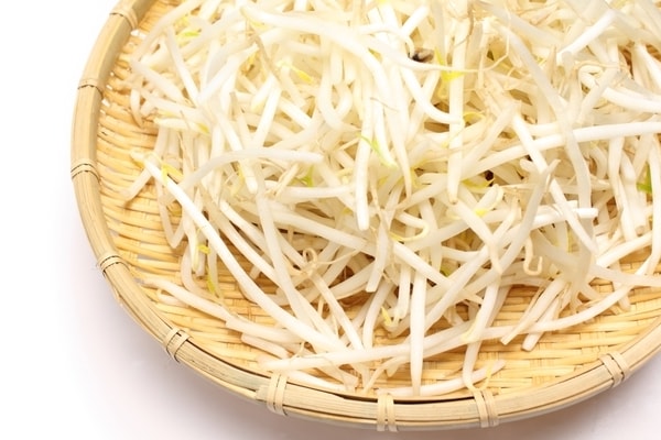シャキシャキ食感がたまらない!メンマに期待できる意外な美容効果