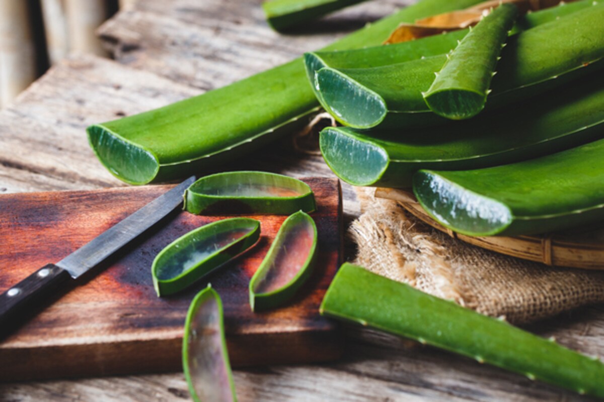 美容・健康成分たっぷり！アロエの下処理方法・美味しい食べ方は？