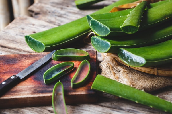 美容・健康成分たっぷり!アロエの下処理方法・美味しい食べ方は?