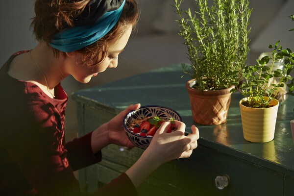 別名恐竜の卵!? スーパーフード「ピタヤ」の美容効果がスゴい!