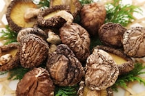 干し椎茸はアンチエイジングにも最適な食材！おすすめのレシピ