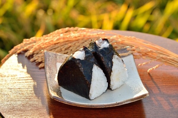 暑い夏にも最適!冷やしおにぎりダイエットのやり方をご紹介