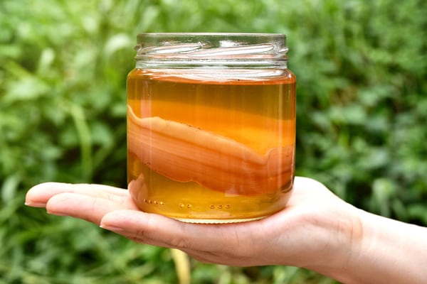 海外セレブも愛飲中の「コンブチャドリンク」を自宅で簡単に作る方法!