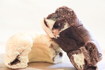 チョコとバナナを同時に味わう！「リングパン」に新作が登場！