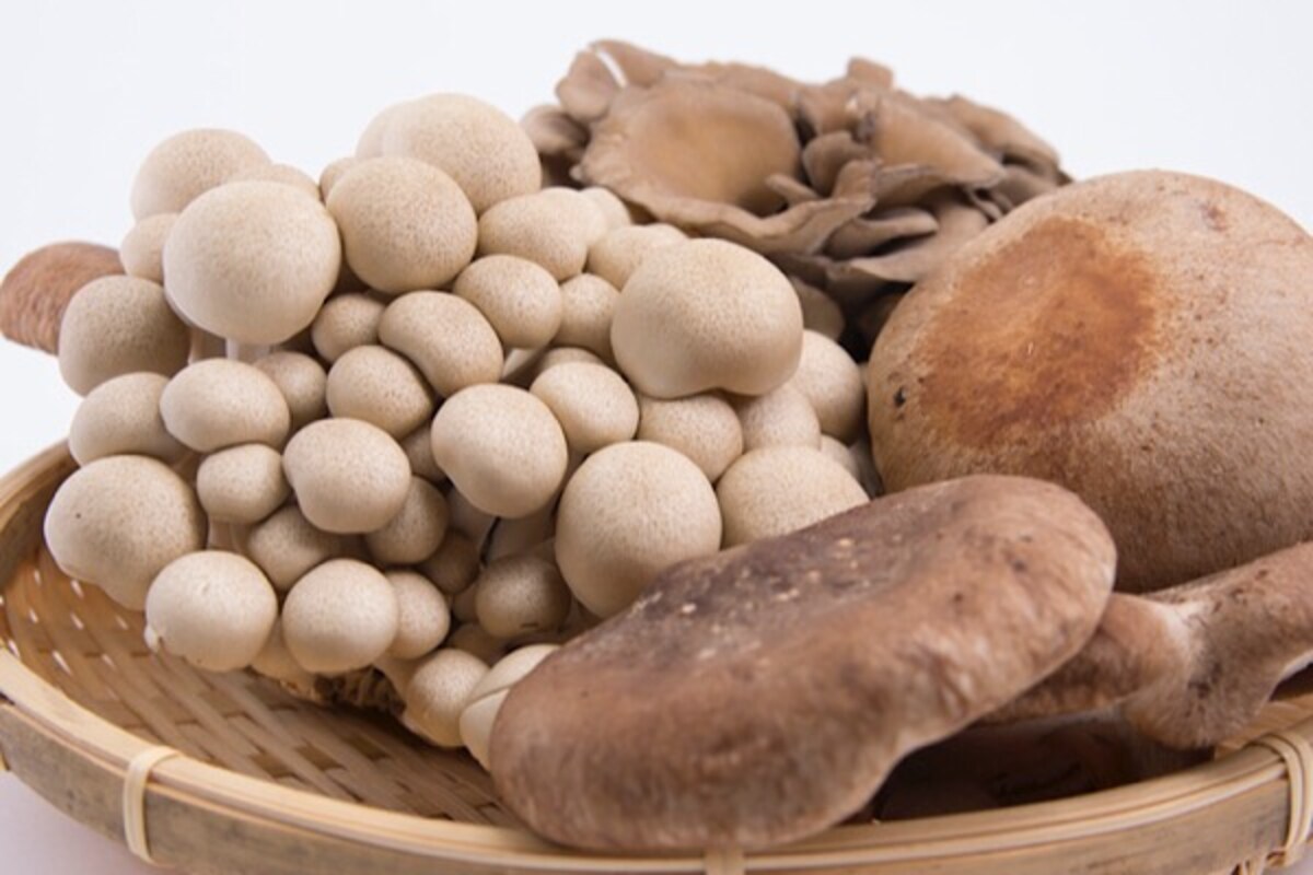 「きのこ」の旬は秋！ 夏の疲れをリセットする健康・美容効果とは