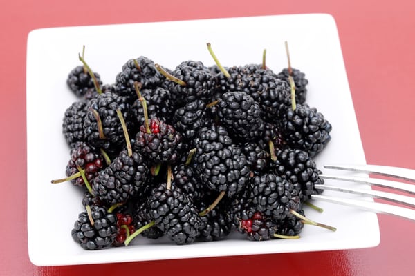 スーパーフード「マルベリー」とは? 含まれる栄養素や期待できる効果