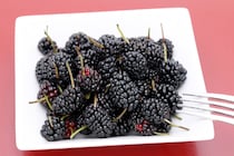 スーパーフード「マルベリー」とは？ 含まれる栄養素や期待できる効果