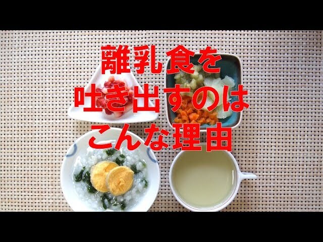 【動画】なるほど！赤ちゃんは食通だった！？離乳食を始めるタイミングと味覚について
