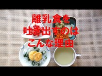【動画】なるほど！赤ちゃんは食通だった！？離乳食を始めるタイミングと味覚について