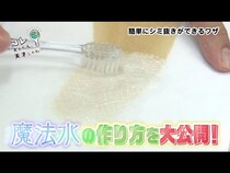 【動画】漬けて叩くだけ？プロのクリーニング業者さんがシミ抜きの神業を伝授！