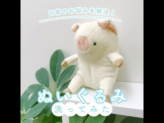 【動画】子どものぬいぐるみをいつでも清潔に！自宅でできる、ぬいぐるみの洗い方を解説