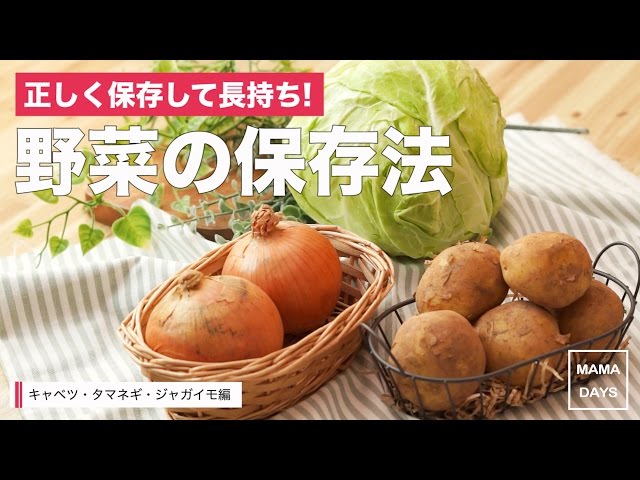【動画】野菜、そのまま冷蔵庫に入れてませんか？正しい保存方法で長持ち！食品ロスを防ごう！