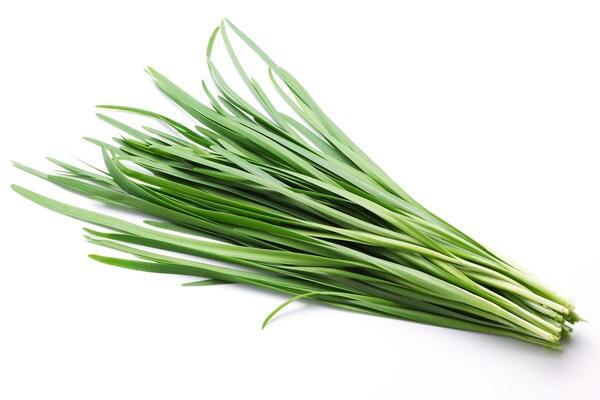 ニラを食べて冷えやすい秋の季節を乗り越えよう!おすすめのレシピ