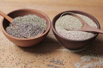 スーパーフード！「ホワイトチアシード」と「ブラックチアシード」の違い？