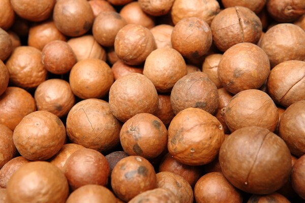 インナーケアにも役立つマカダミアナッツオイルの効果とは?