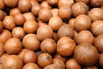 インナーケアにも役立つマカダミアナッツオイルの効果とは？