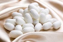 使ってる？「まゆ玉洗顔」で頑固な黒ずみを撃退！