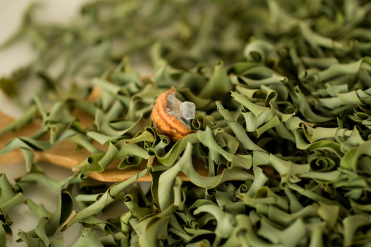 月桃茶（ゲットウチャ）に期待できる美容・健康効果とは？