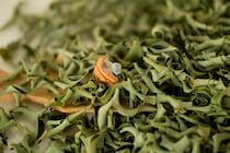 月桃茶（ゲットウチャ）に期待できる美容・健康効果とは？