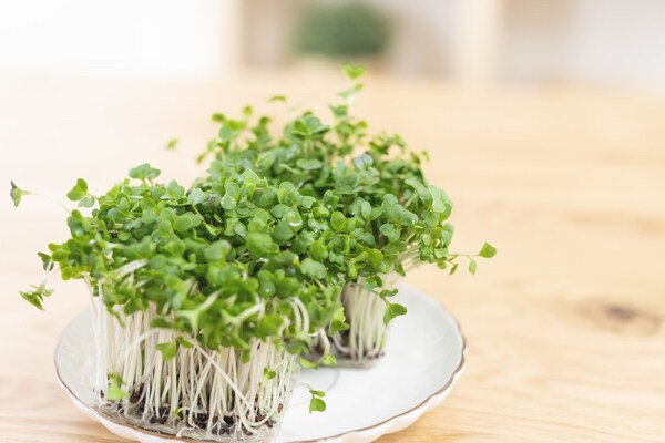 ブロッコリースプラウトに含まれる栄養素や効果は?